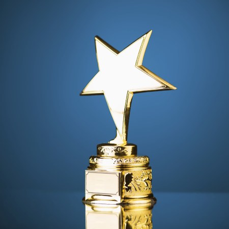 Excellence in Interior Design Award